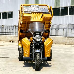 TorqMax GL089764 150cc Fuel Cargo Tricycle JS150ZH-5D, Farm Hauler for Southeast Asia view 1 — Tricycles