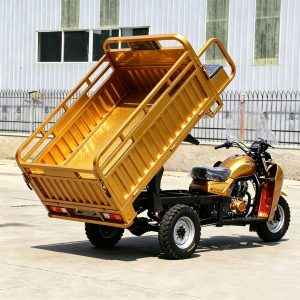 TorqMax GL089764 150cc Fuel Cargo Tricycle JS150ZH-5D, Farm Hauler for Southeast Asia view 2 — Tricycles