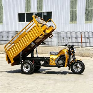 TorqMax GL089764 150cc Fuel Cargo Tricycle JS150ZH-5D, Farm Hauler for Southeast Asia view 3 — Tricycles