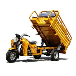 TorqMax GL089764 150cc Fuel Cargo Tricycle JS150ZH-5D, Farm Hauler for Southeast Asia view 4 — Tricycles