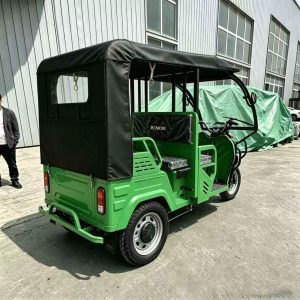 TorqMax GL410327 Fuel Passenger Tricycle Tuk-Tuk, Enclosed Cabin for African Market view 1 — Tricycles