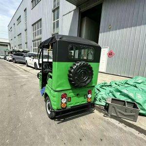 TorqMax GL410327 Fuel Passenger Tricycle Tuk-Tuk, Enclosed Cabin for African Market view 3 — Tricycles