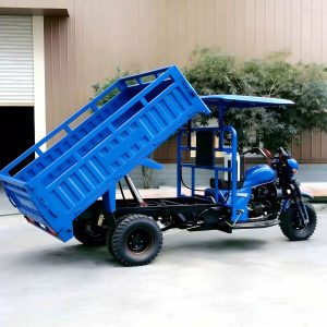 TorqMax GL563521 200-350cc Gasoline Cargo Tricycle, Heavy-Duty Farm Export Model view 1 — Tricycles