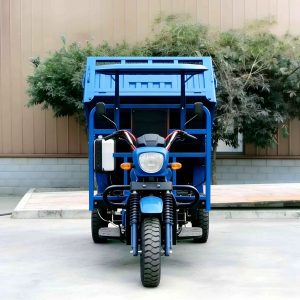 TorqMax GL563521 200-350cc Gasoline Cargo Tricycle, Heavy-Duty Farm Export Model view 2 — Tricycles