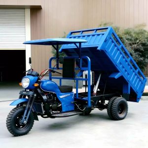200-350cc Gasoline Cargo Tricycle, Heavy-Duty Farm Export Model