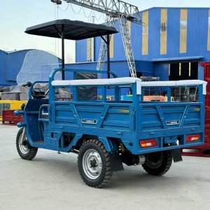 TorqMax GL669449 Gasoline Agricultural Cargo Tricycle, Water/Air-Cooled Grain Transporter view 2 — Tricycles