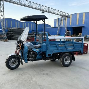 Gasoline Agricultural Cargo Tricycle, Water/Air-Cooled Grain Transporter