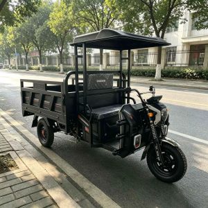 TorqMax GL675340 Canopy Fuel Tricycle Vendor Truck, Black Cargo Model for Export view 1 — Tricycles