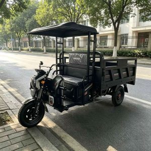 TorqMax GL675340 Canopy Fuel Tricycle Vendor Truck, Black Cargo Model for Export view 2 — Tricycles