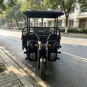 TorqMax GL675340 Canopy Fuel Tricycle Vendor Truck, Black Cargo Model for Export view 3 — Tricycles