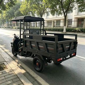 Canopy Fuel Tricycle Vendor Truck, Black Cargo Model for Export