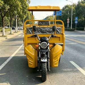 TorqMax GL721779 Canopy Gasoline Tricycle, Heavy-Duty Cargo Vehicle for Africa view 1 — Tricycles