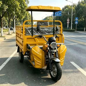 TorqMax GL721779 Canopy Gasoline Tricycle, Heavy-Duty Cargo Vehicle for Africa view 2 — Tricycles