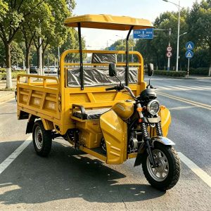 TorqMax GL721779 Canopy Gasoline Tricycle, Heavy-Duty Cargo Vehicle for Africa view 3 — Tricycles
