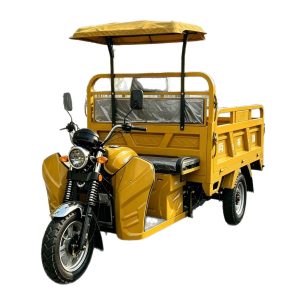 TorqMax GL721779 Canopy Gasoline Tricycle, Heavy-Duty Cargo Vehicle for Africa view 4 — Tricycles