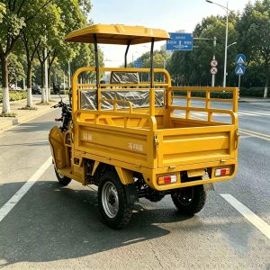 Canopy Gasoline Tricycle, Heavy-Duty Cargo Vehicle for Africa