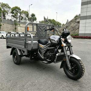 Gasoline Cargo Tricycle, Silver Durable Three-Wheeler for Export