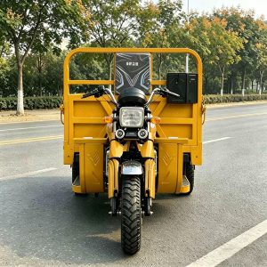 150cc Gasoline Cargo Tricycle, 500kg Capacity Farm Hauler