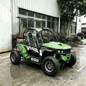 Leisure Farm Go-Kart with Roll Cage, Off-Road Climbing Buggy
