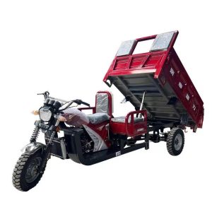 Tricycle Passenger Carrier