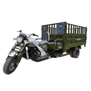 Tricycle 3-Seat Dump
