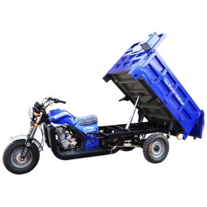 Tricycle Flatbed
