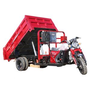 Tricycle Dump