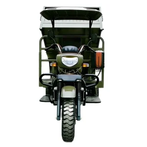 150-2653 Cargo Tricycle export product image — view 5