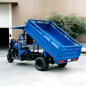 150-3199 Cargo Tricycle export product image — view 2