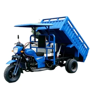 150-3199 Cargo Tricycle export product image — view 5