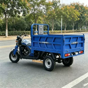 150-350-2109 Cargo Tricycle export product image — view 2