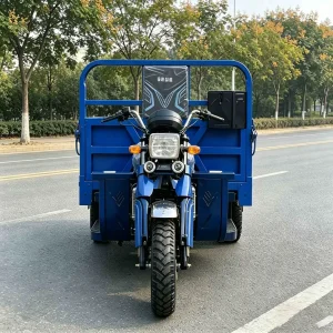 150-350-2109 Cargo Tricycle export product image — view 4