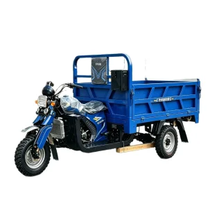 150-350-2109 Cargo Tricycle export product image — view 5