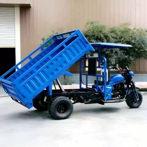 150-350-3521 Cargo Tricycle export product image — view 2