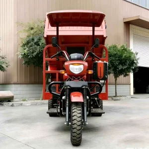 150-350-5884 Cargo Tricycle export product image — view 2