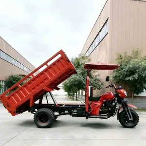 150-350-5884 Cargo Tricycle export product image — view 3