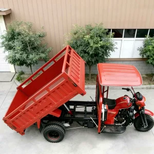 150-350-5884 Cargo Tricycle export product image — view 4