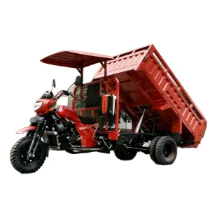 150-350-5884 Cargo Tricycle export product image — view 5