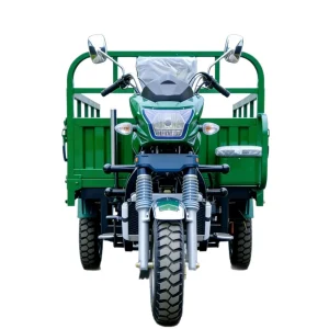 150-7148 Cargo Tricycle export product image — view 5