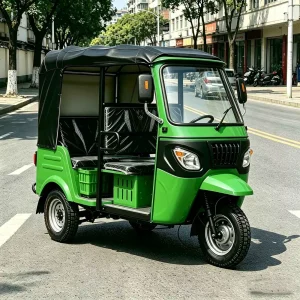 163ML Passenger Tricycle export product image — view 2