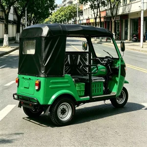 163ML Passenger Tricycle export product image — view 3