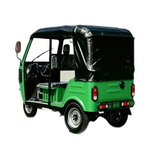 163ML Passenger Tricycle export product image — view 5