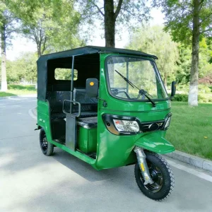 163ml-5335 Passenger Tricycle export product image