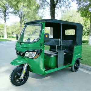 163ml-5335 Passenger Tricycle export product image — view 3
