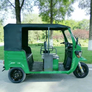 163ML Passenger Tricycle export product image — view 12