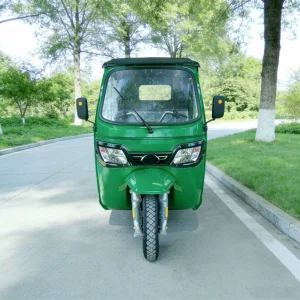 163ML Passenger Tricycle export product image — view 13