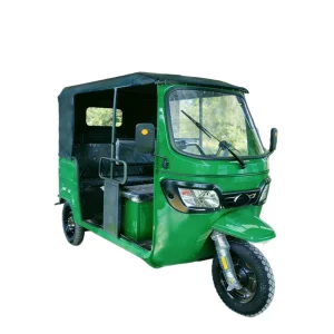 163ML Passenger Tricycle export product image — view 15