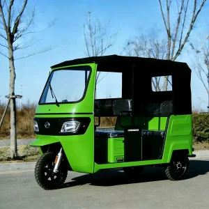 163ML Passenger Tricycle export product image — view 16