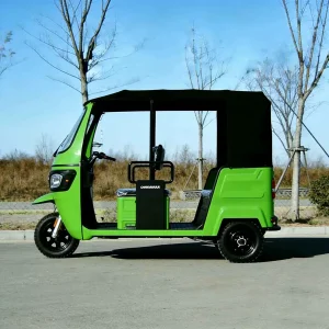 163ML Passenger Tricycle export product image — view 17