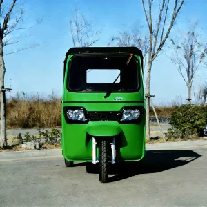163ML Passenger Tricycle export product image — view 18